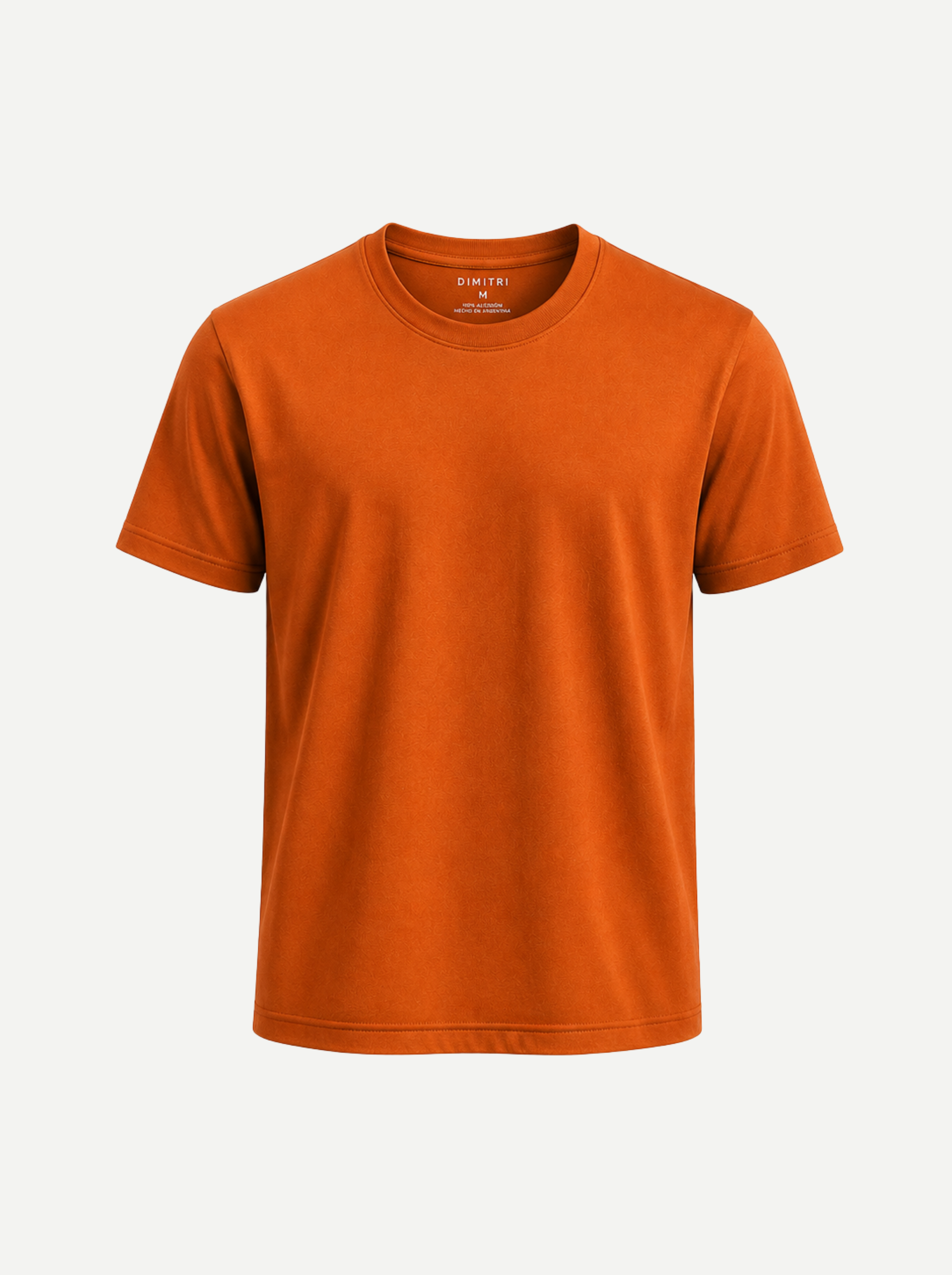 Remera Terra