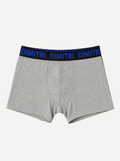 Boxer Dimitri Icon Gris