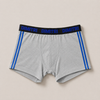 Boxer Dimitri Straps Gris / Azul